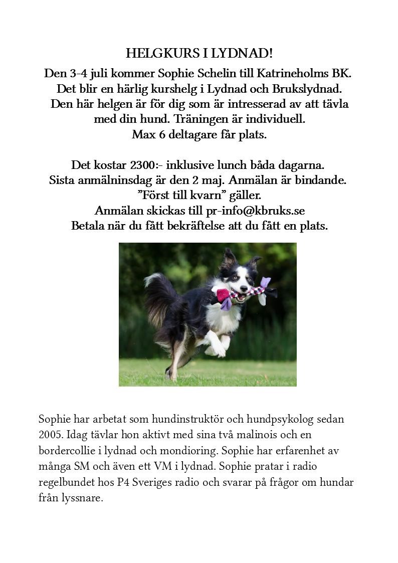 Startsida Katrineholms Brukshundklubb